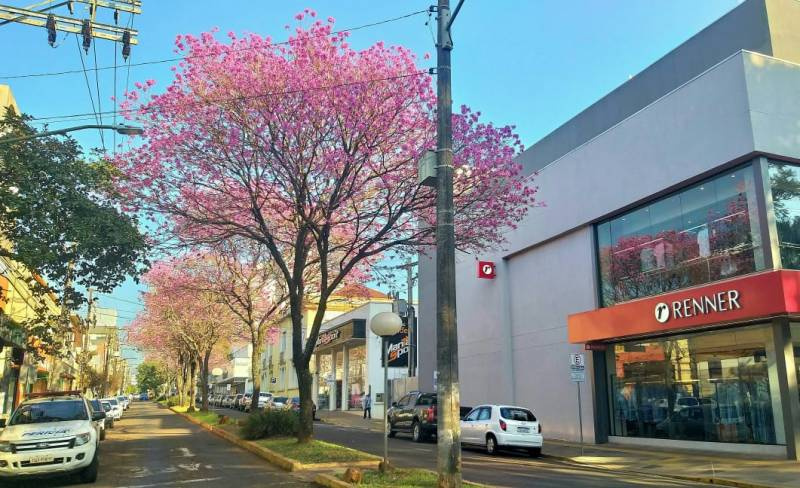 RS terá segunda-feira de calor com pancadas isoladas de chuva