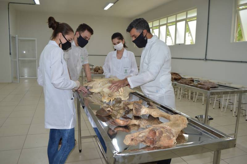 URI qualifica ainda mais o curso de Medicina Veterinária com ampliação do Laboratório