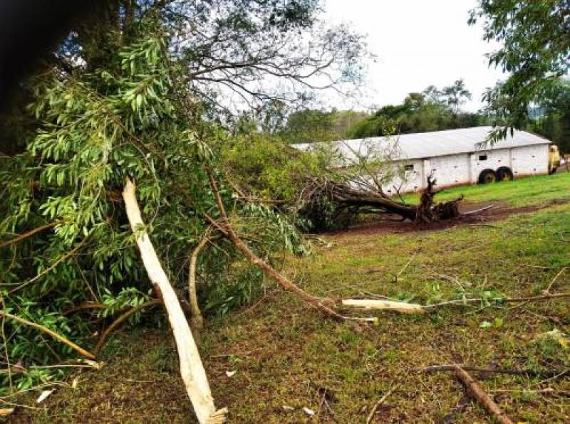 Vento forte provocou estragos em Lajeado Jacaré, no Interior de Crissiumal