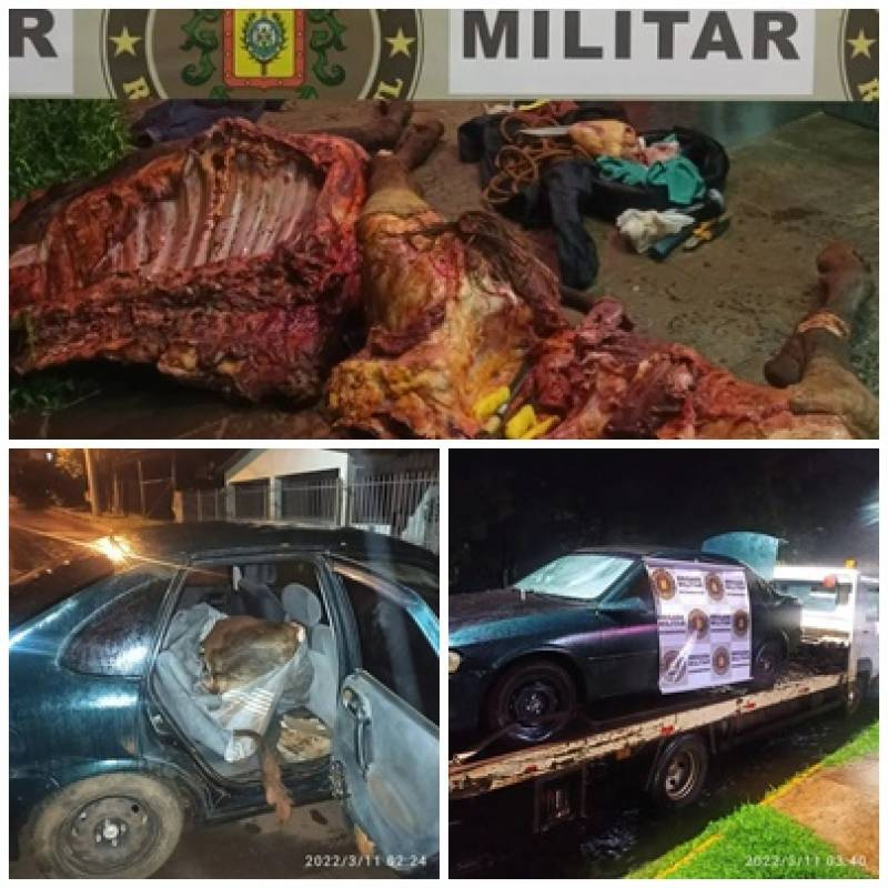 Brigada Militar prende dupla por furto ABIGEATO em Santo Ângelo